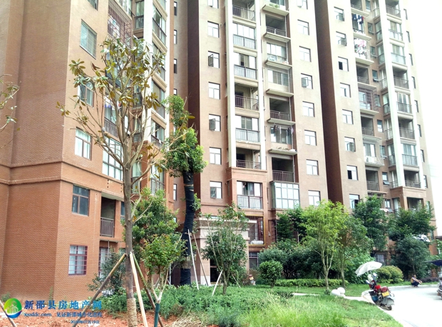 新邵世纪豪庭最新动态,变化中的力量与学习带来的自信与成就感