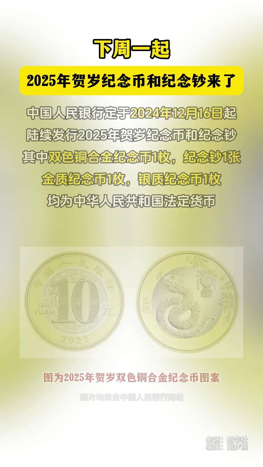 2025年纪念币最新价格回顾与展望,市场走势深度解析