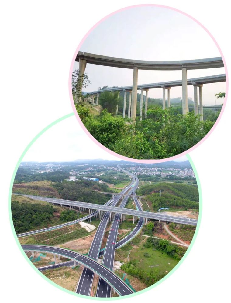 云茂高速荷花美景探寻之旅的最新动态