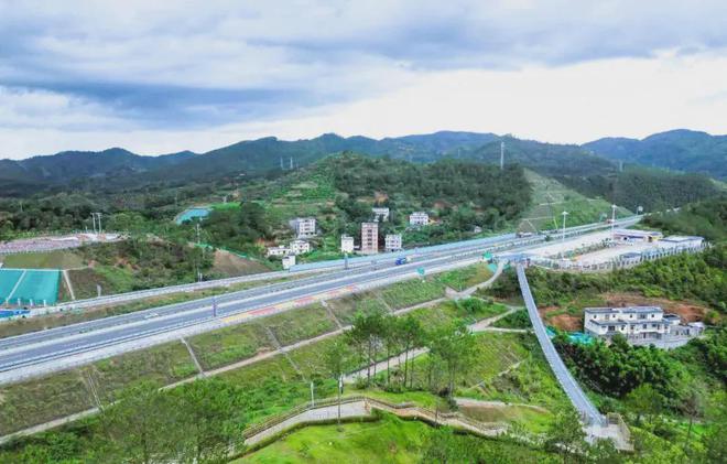 云茂高速荷花美景探寻之旅的最新动态