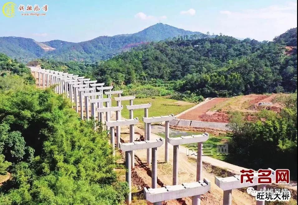 云茂高速荷花美景探寻之旅的最新动态