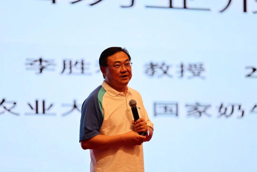 宁夏高铁最新动态2025，乘高铁探秘自然美景，寻觅内心宁静