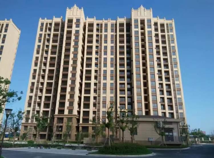 南大地区动迁最新消息揭秘，最新动态与进展