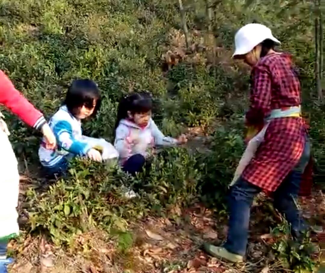 满星云集团最新动态，科技浪潮中的领航者