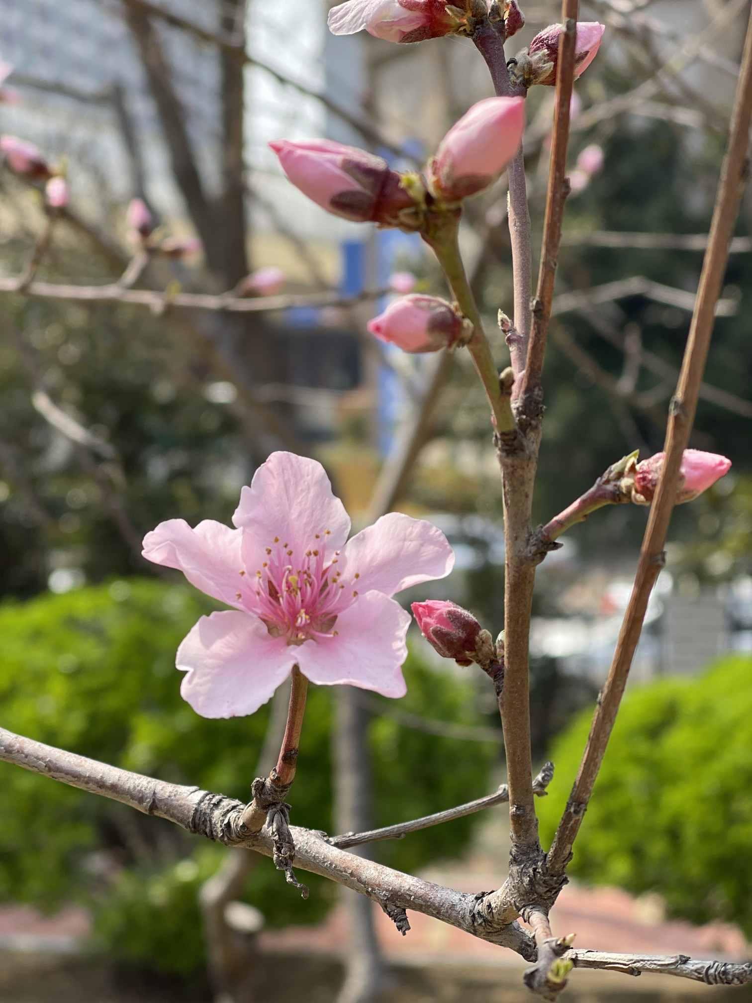 西华县最新交通地图，脉络重塑与未来展望展望
