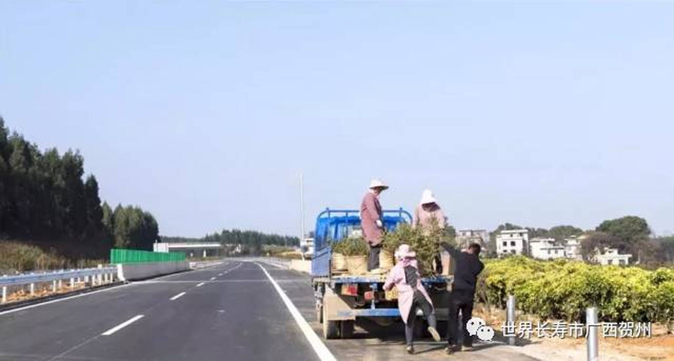 永贺高速最新消息与动态获取指南,实时掌握最新消息与新闻动态