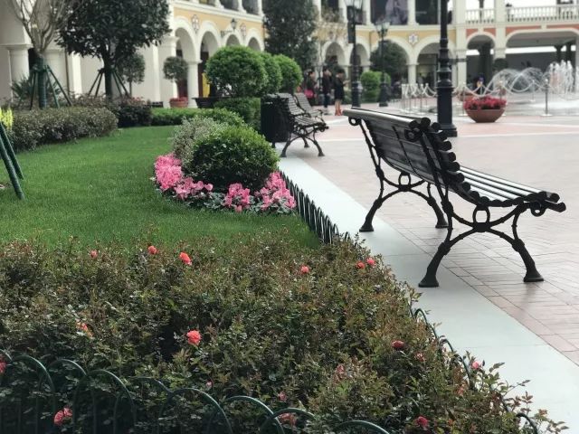 郫县佛罗伦萨最新动态与温馨日常体验