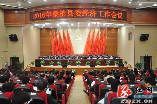 桑植新闻网最新动态,时代脉搏与地方发展同步前行