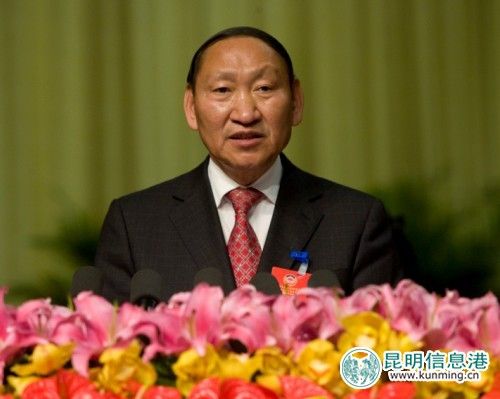 云南罗正富最新动态及相关论述概述