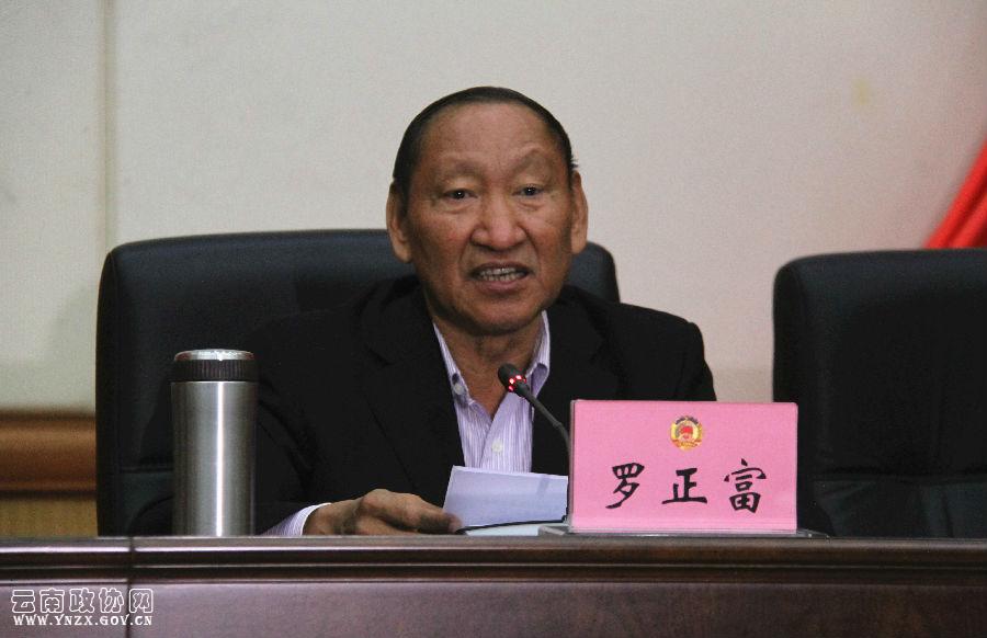 云南罗正富最新动态及相关论述概述