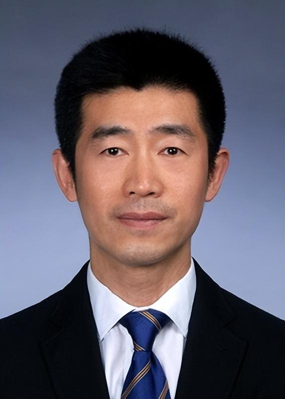 沈阳市副市长最新名单及其背后的温馨故事概述