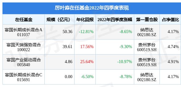 聚焦今日100022基金净值,最新解析与洞察