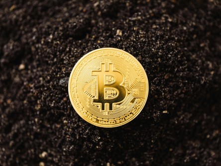 王朝阳储备币最新动态,科技引领未来,全新数字生活体验新篇章开启