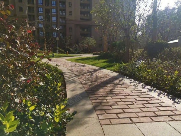 枞阳逸龙山庄最新房价，时代的印记与地位的彰显，房价走势一览