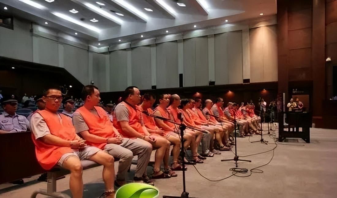 沙井龙哥最新消息揭秘,重磅更新,即刻掌握!