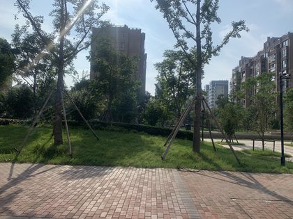 服务案例 第25页