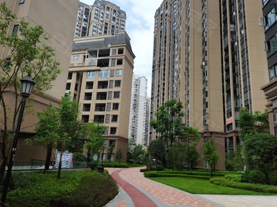 承平盛世二期最新图片揭秘,温馨日常与欢乐时光的记录