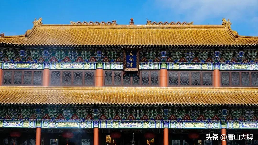 曹妃甸大学城最新动态及探索学习指南