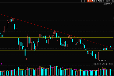 华控赛格股票最新动态解析,如何获取并分析股票信息全面指南
