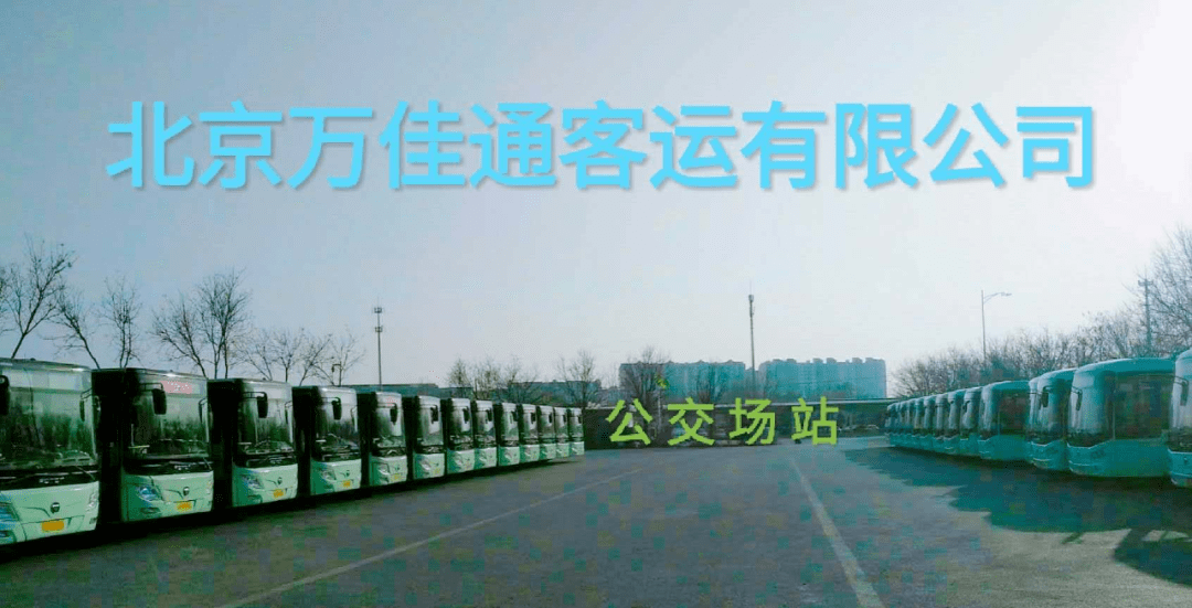 宁波客运驾驶员火热招聘,启程自然之旅!