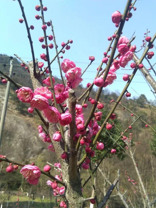 苍南金乡招聘网最新招聘信息及小巷深处的特色小店揭秘