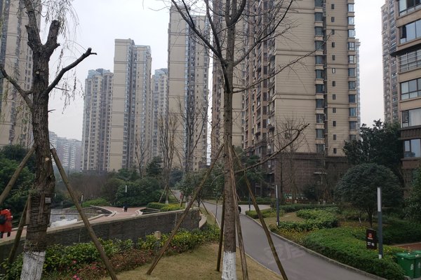 宜宾山水原著最新动态,详细步骤指南与最新消息解析