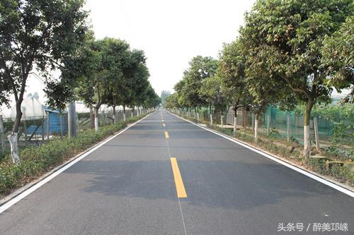 邛崃最新道路规划图详解及观点论述