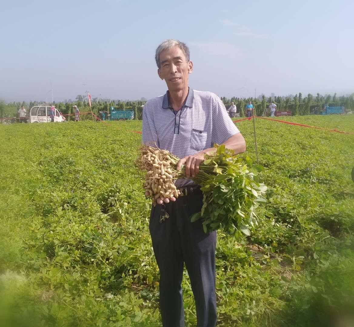 最新花生米行情分析与预测