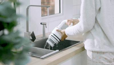 最新花生米行情分析与预测