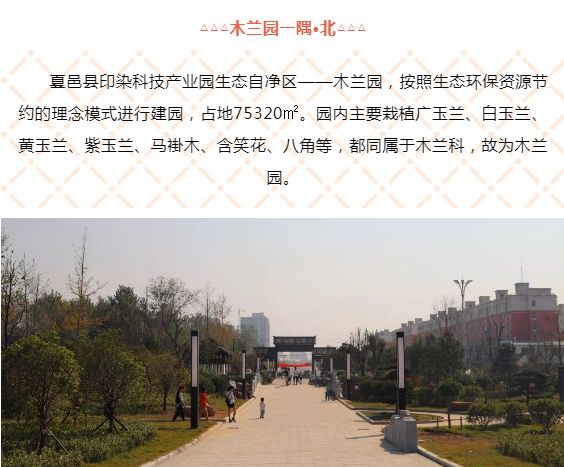 河南夏邑县的最新动态更新