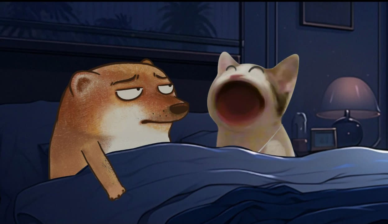 FCW废柴视频的最新地址,温馨日常的探寻