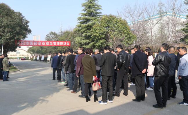 洛阳普莱柯最新动态，自然美景探寻之旅，心灵宁静的重拾之旅