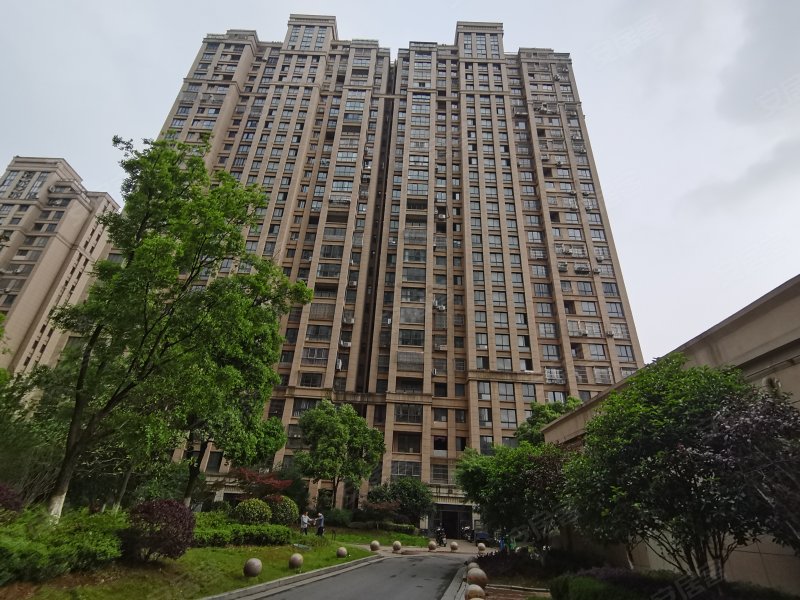 秀山湖一号最新房价解析，市场趋势解读与购房指南