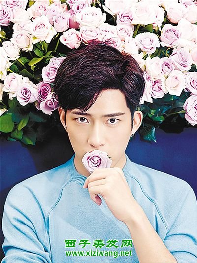 井柏然最新发型2025,自然风尚的心灵之旅