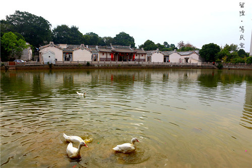 丰顺留隍镇最新发展概况与观点论述