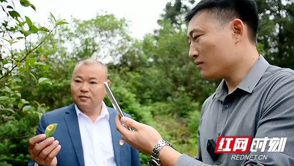 四库视频最新地址,开启一段温馨的视频之旅