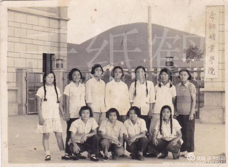 淮南矿业集团最新文件及其背后的温馨故事概述