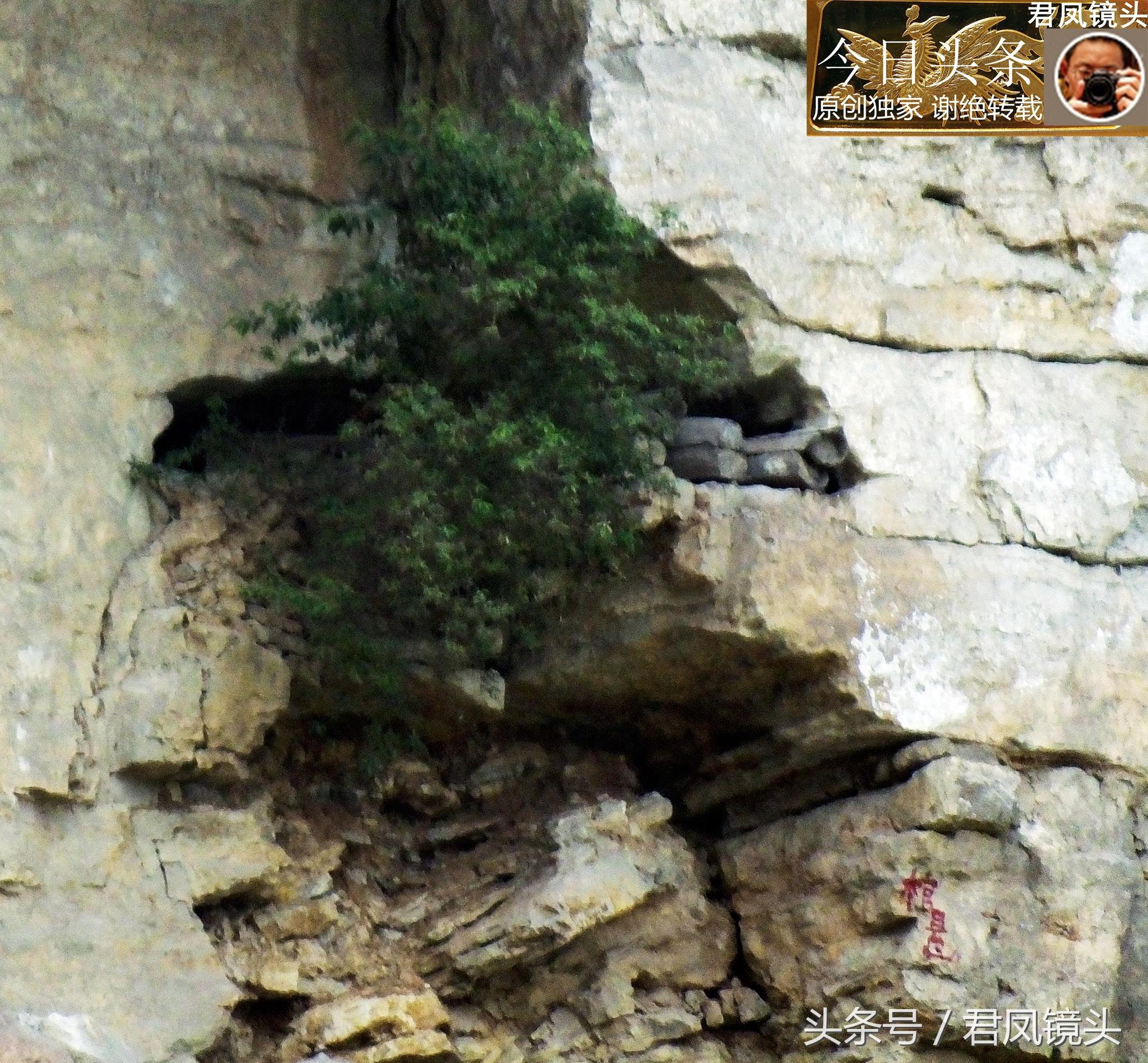 宜巴高速最新进展,2025年动态更新