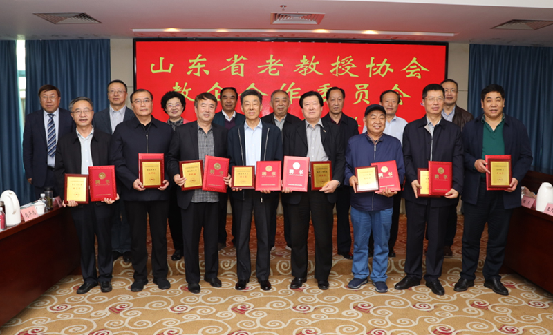 山东老民师最新资讯，全面指南与技能学习路径