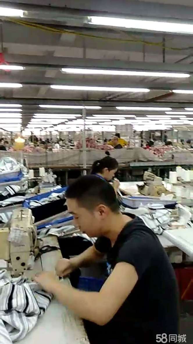 上海启翔针车最新招聘信息