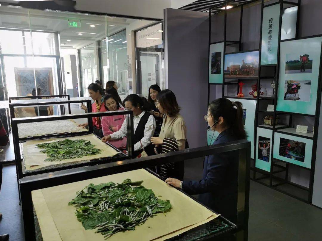 平望美山子最新招聘启事，探索自然美景之旅，招募内心平静的旅者