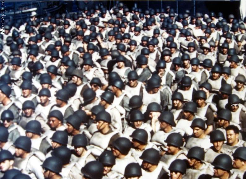 各类运输车辆 第13页