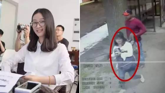 北大章莹颖最新消息,心灵与自然的奇妙之旅揭秘