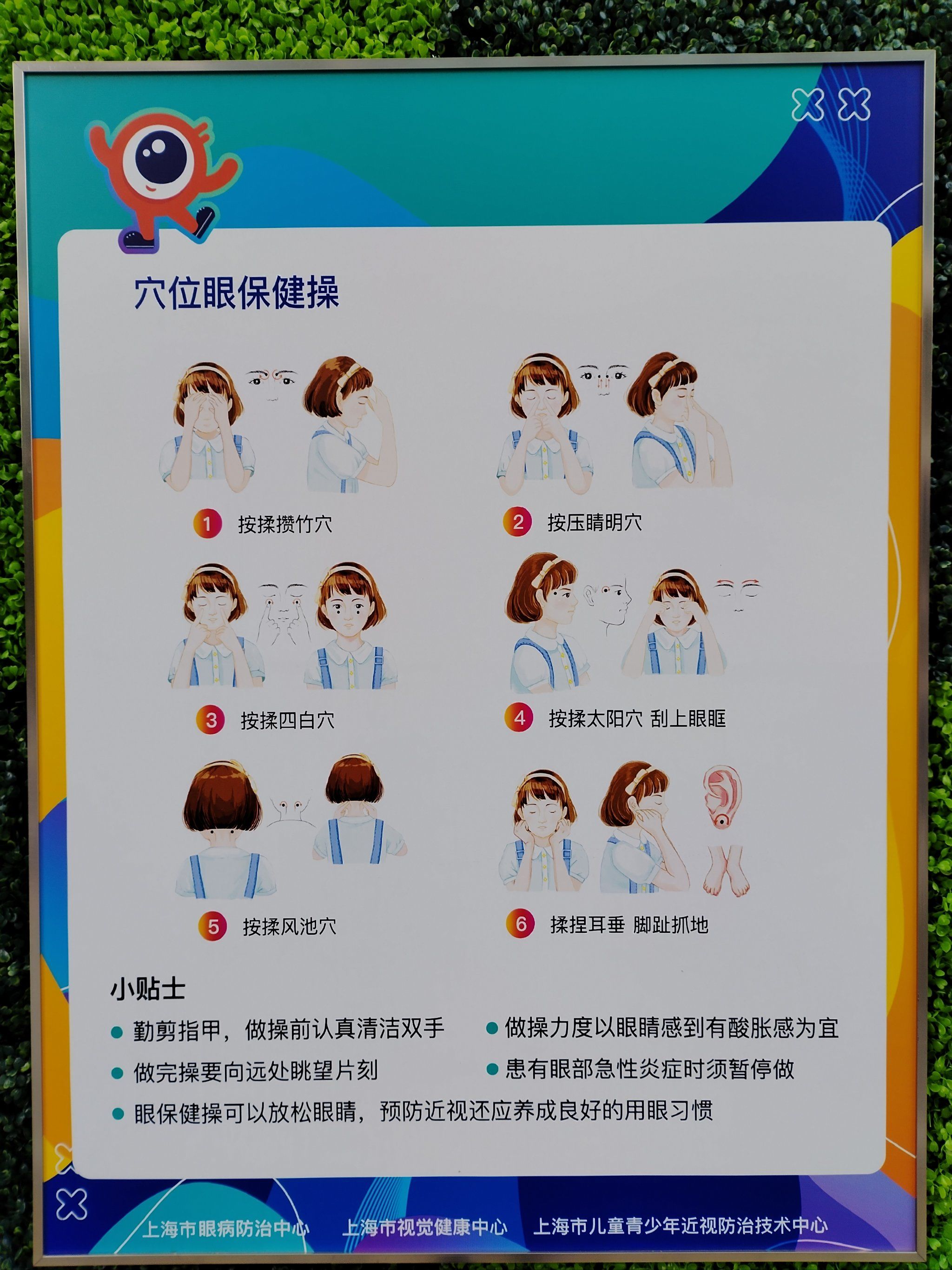 🌟小学生眼保健音乐新篇章,守护视力的旋律🌟