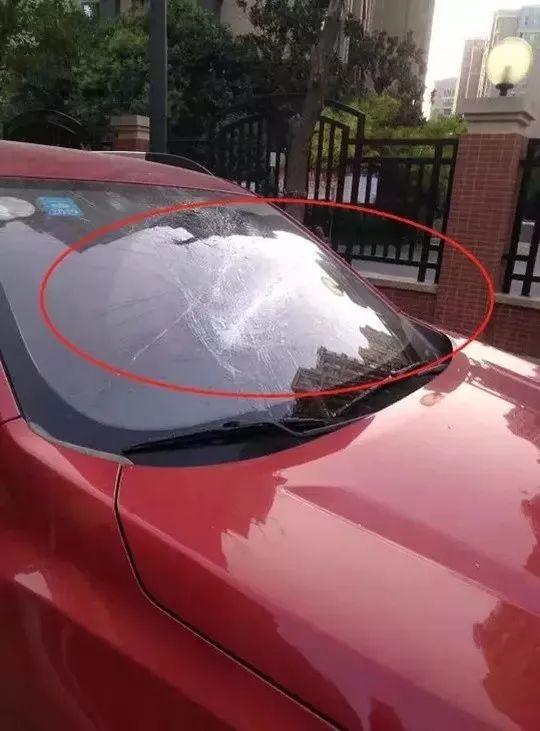 安庆恒大绿洲最新消息指南,全面解读最新动态