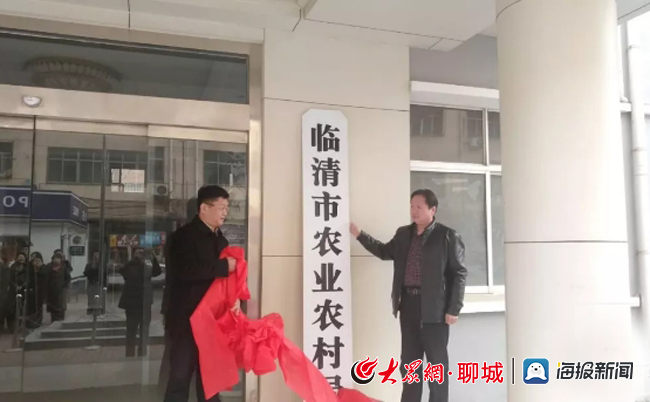 山东临清市最新新闻报道