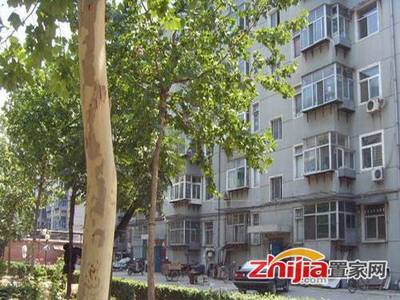 石家庄钢厂搬迁最新动态,深度分析与观点阐述