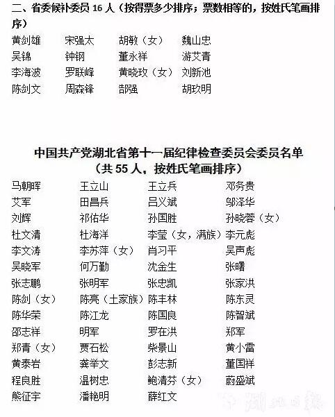 湖北省委常委最新名单揭晓,科技领航智能未来新征程