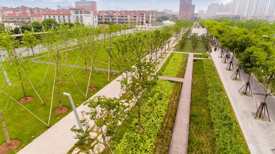 夏津德和园最新动态与温馨日常体验