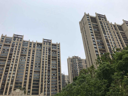 中房颐园最新动态揭秘,洞悉未来发展趋势与全新动态